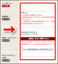 華の会メールのプロフ入力画面